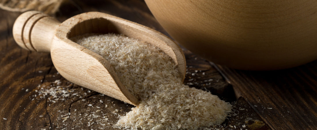 Fiber Power: How Psyllium Husk Keeps Your Gut in Check